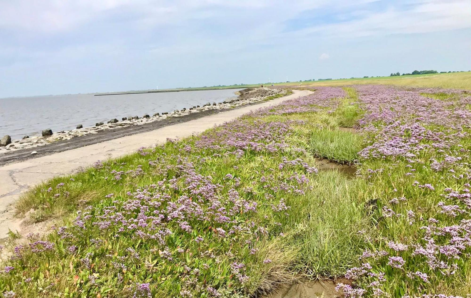 Haus MeerAuszeit - Erholung an der Nordsee Schweiburg Exterior foto